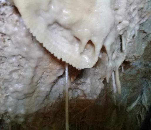 مغارة في حي الشميس image